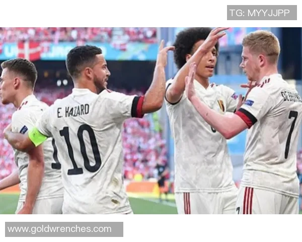 芬兰和比利时足球明星阵容解析与对比